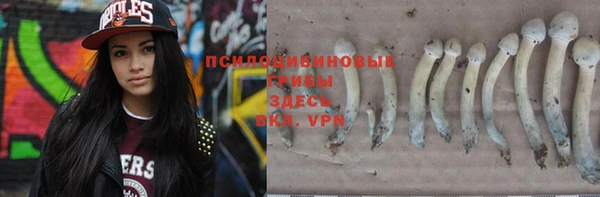 МДПВ Сосновый Бор
