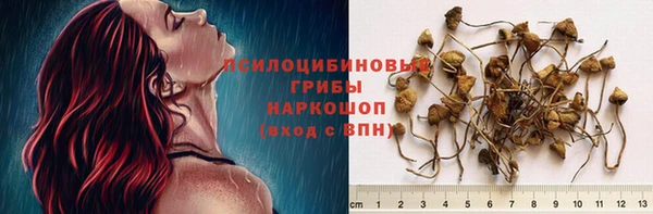 гашиш Белокуриха